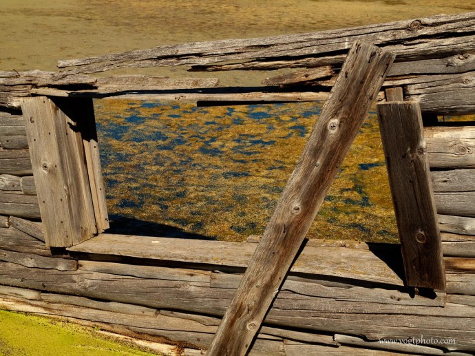 20100825-Homestead Pond-01-w