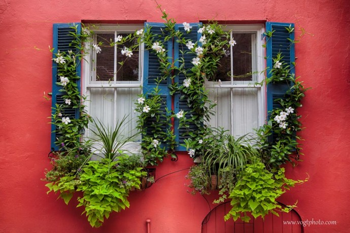 20130824-Charleston Window-02-w