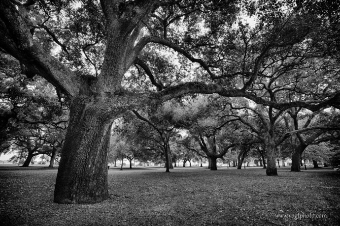20130824-White Point Garden-01-w
