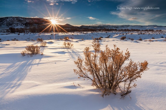 20140111-Sage and Sunstar - w