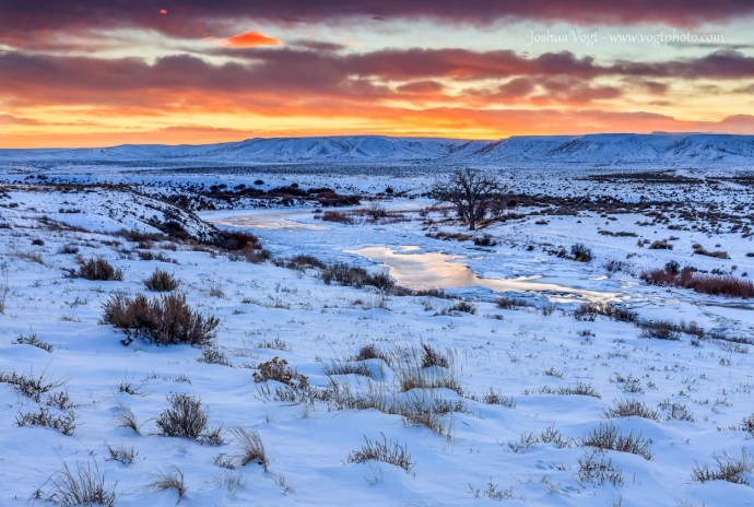 20140110-_MG_6116-01-01-01