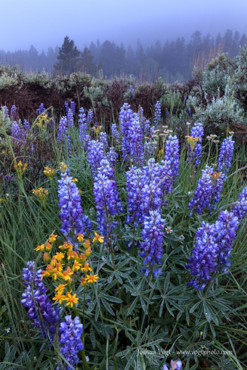 20140628-_MG_9394-01