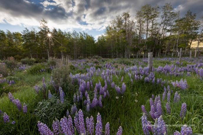 20140628-_MG_9538-01