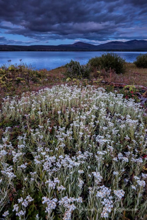 20140824-_MG_2882-01-01-01-01-01