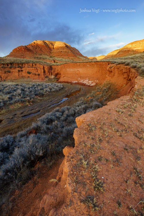 20150328-DSC01065-01